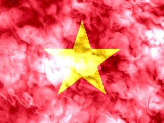 越南调查网站